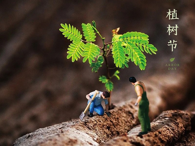 一起植树吧