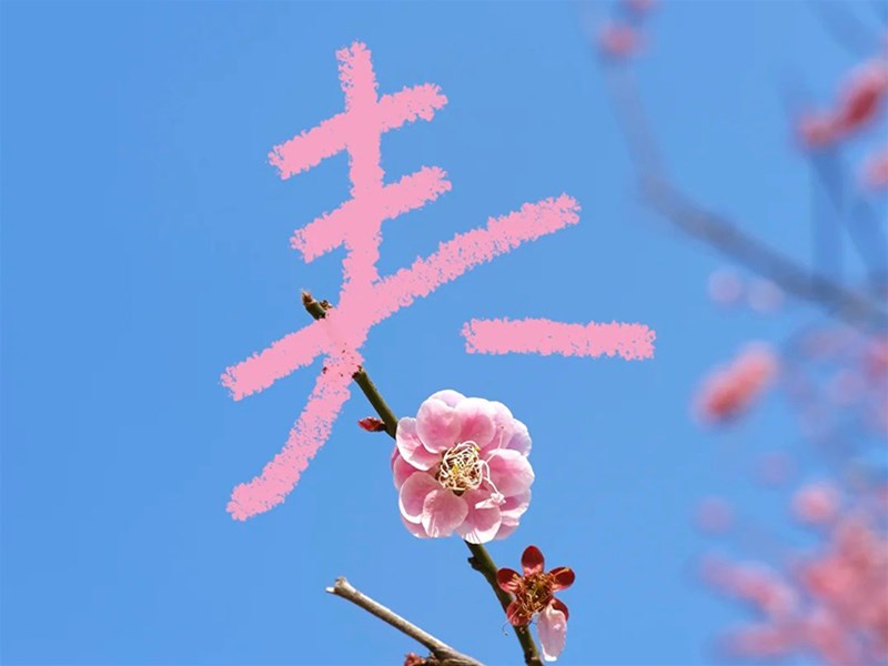 四月，你好